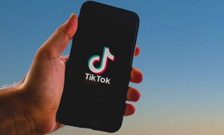 Cara Hapus Filter Rotoscope Tiktok APK 2022 Terbaru