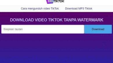 SSSTikTok Download Video TikTok Tanpa Watermark Gratis