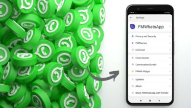 Download FMWhatsApp Apk Terbaru, Update 2022