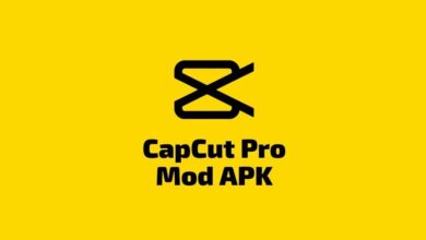 Download CapCut Pro Mod Apk No Watermark dan Iklan