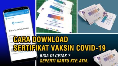 Cara Download Sertifikat Vaksin di Berbagai Negara Terbaru 2023